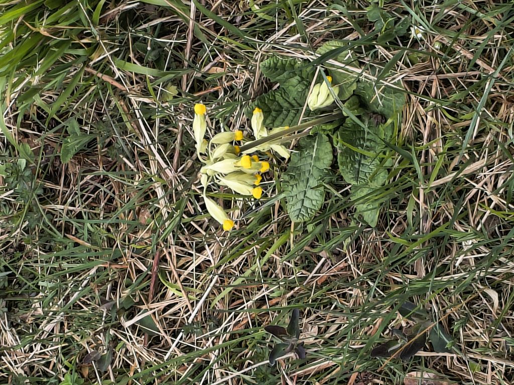 Foto 5 – 25.03.2026 – 442 km – Liverdun - Saint-Pourcain-sur-Sioule