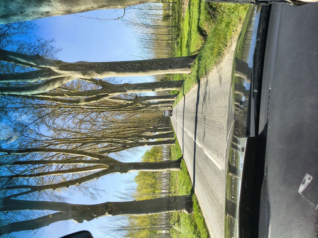 Foto 5 – 27.03.2026 – 289 km – Eyraud-Crempse-Maurens - Saint-Jean-de-Luz