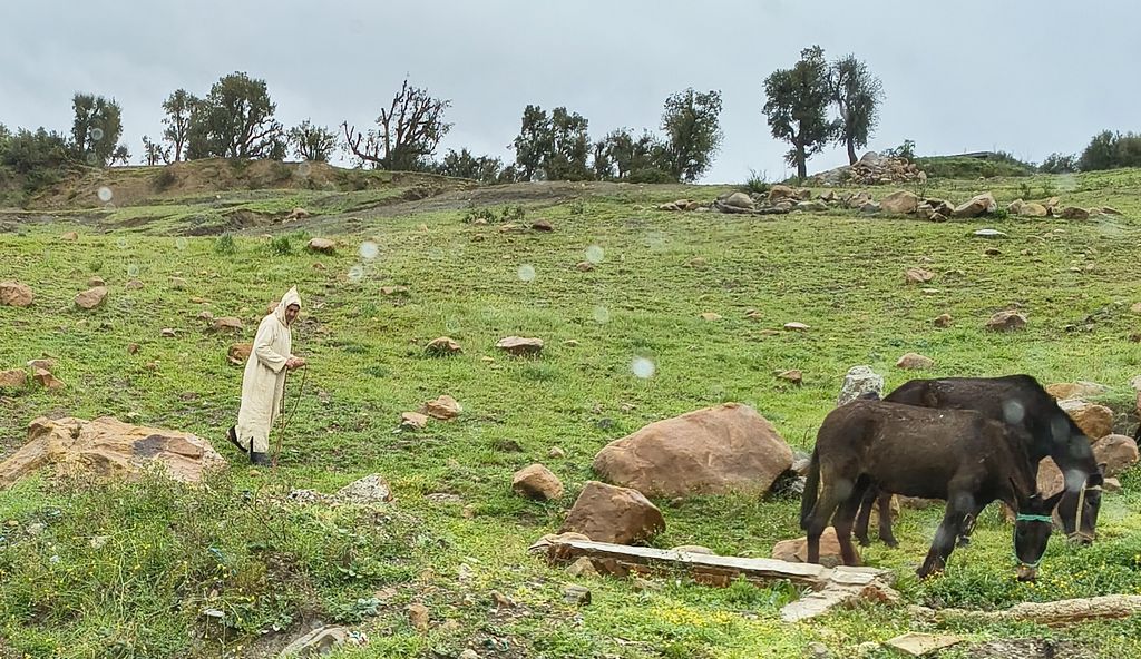 Foto 24 – 08.04.2026 – 294 km – Cabo Negro - Chefchaouen - Tafrant - Fes