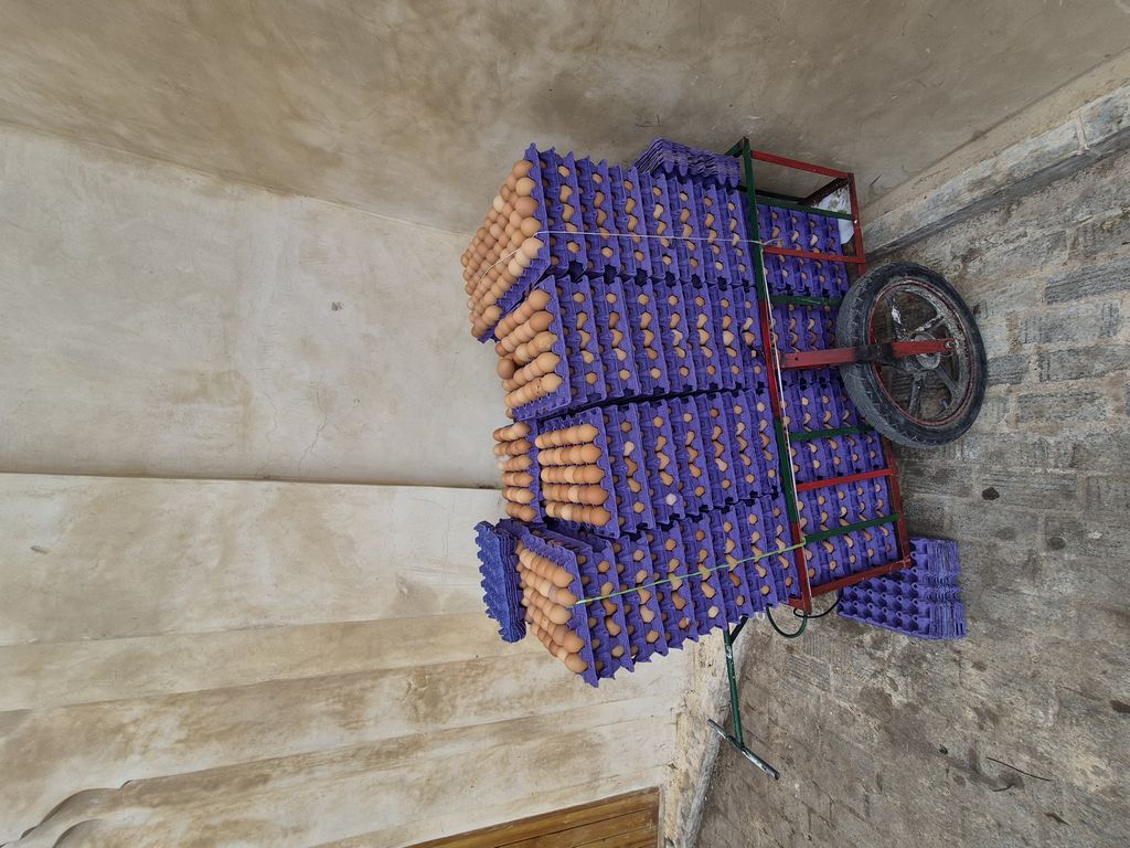 Foto 37 – 09.04.2026 – 0 km – Fes