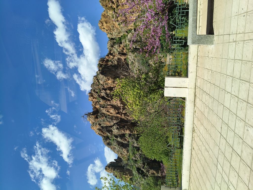 Foto 4 – 10.04.2026 – 238 km – Fes - Azrou – Lake Aguelmame Sidi Ali (See) - Midelt