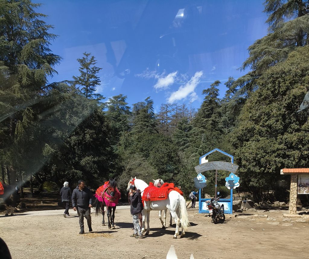 Foto 9 – 10.04.2026 – 238 km – Fes - Azrou – Lake Aguelmame Sidi Ali (See) - Midelt