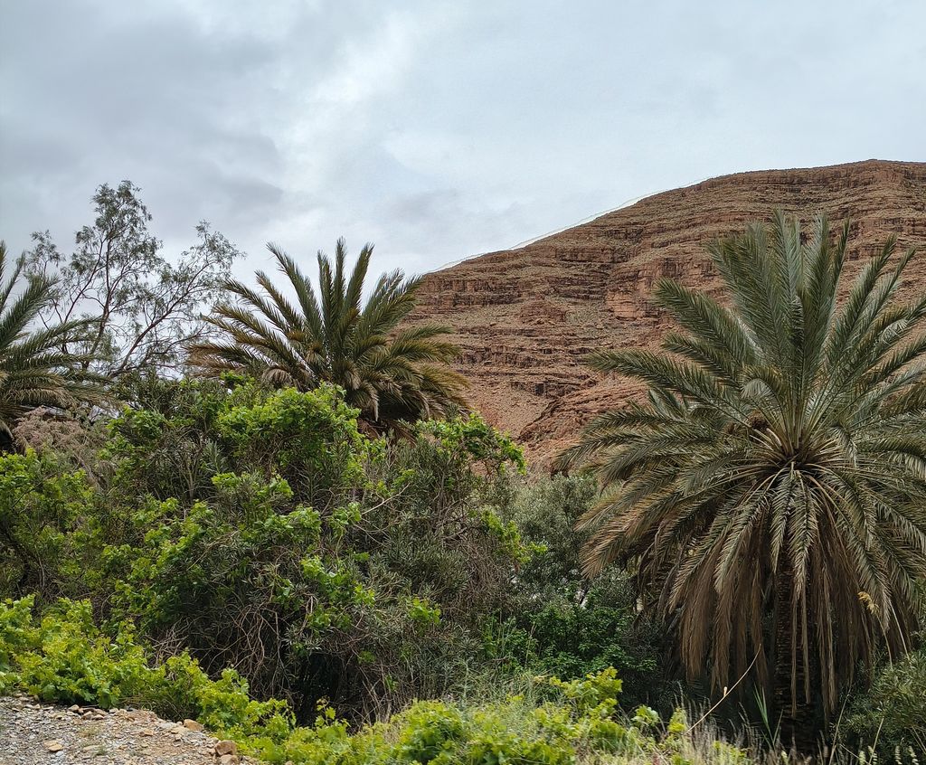 Foto 12 – 11.04.2026 – 203 km – Midelt - Tinghir - Boumalme Dades