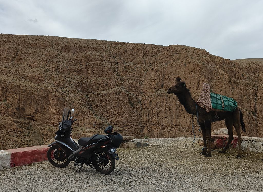 Foto 19 – 12.04.2026 – 62 km – Boumalme Dades - Dades-Schlucht - Boulmalme Dades