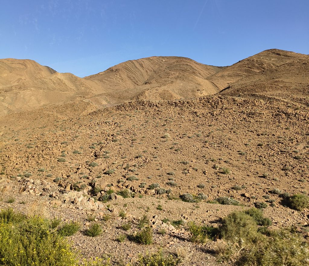 Foto 4 – 14.04.2026 – 277 km – Ouarzazate - Taliouine - Taroudannt