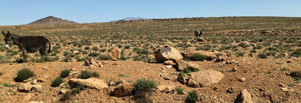 Foto 21 – 14.04.2026 – 277 km – Ouarzazate - Taliouine - Taroudannt