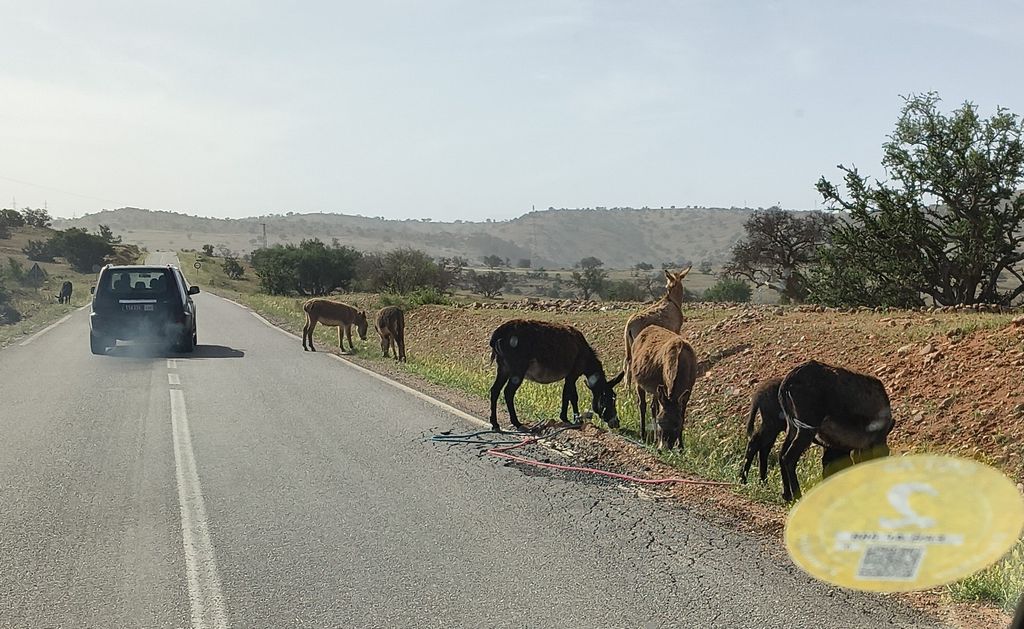 Foto 4 – 15.04.2026 – 332 km – Taroudannt - Igherm - Ait Mansour - Tafraoute  - Tiznit