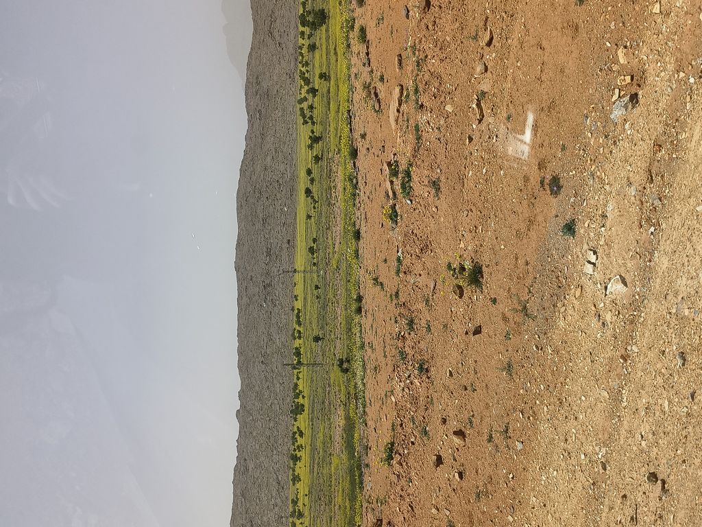Foto 21 – 15.04.2026 – 332 km – Taroudannt - Igherm - Ait Mansour - Tafraoute  - Tiznit