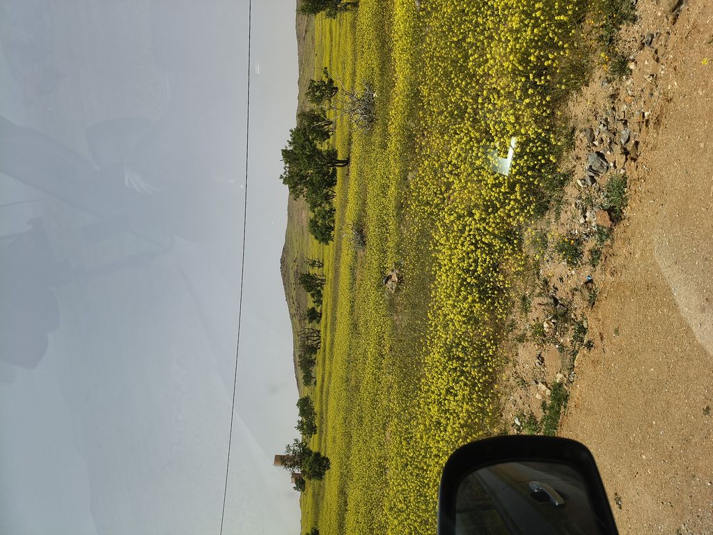 Foto 22 – 15.04.2026 – 332 km – Taroudannt - Igherm - Ait Mansour - Tafraoute  - Tiznit