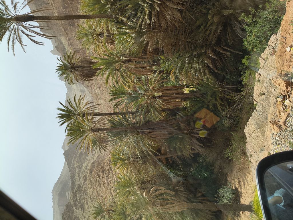 Foto 26 – 15.04.2026 – 332 km – Taroudannt - Igherm - Ait Mansour - Tafraoute  - Tiznit