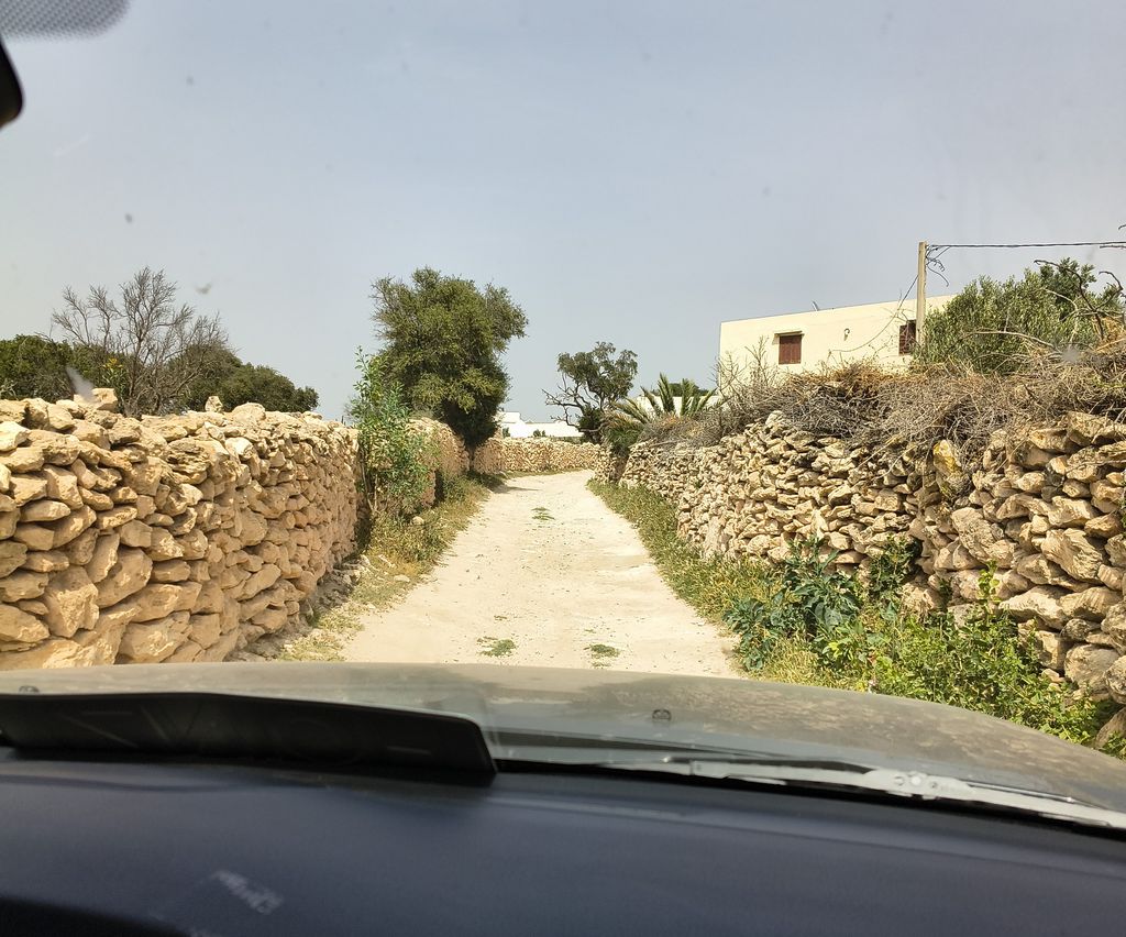 Foto 36 – 17.04.2026 – 176 km – Agadir - Essaouira