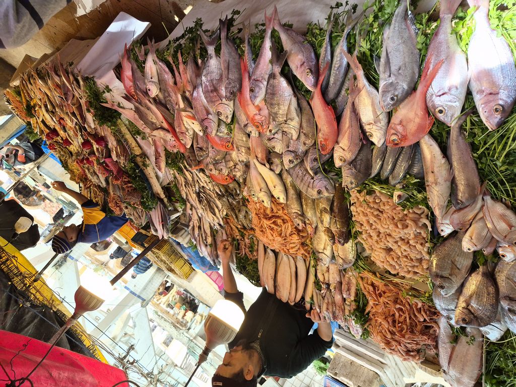 Foto 11 – 18.04.2026 – 0 km – Essaouira