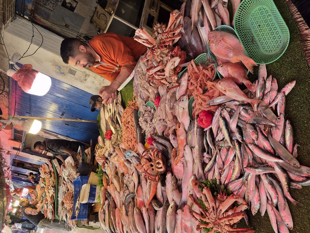 Foto 12 – 18.04.2026 – 0 km – Essaouira