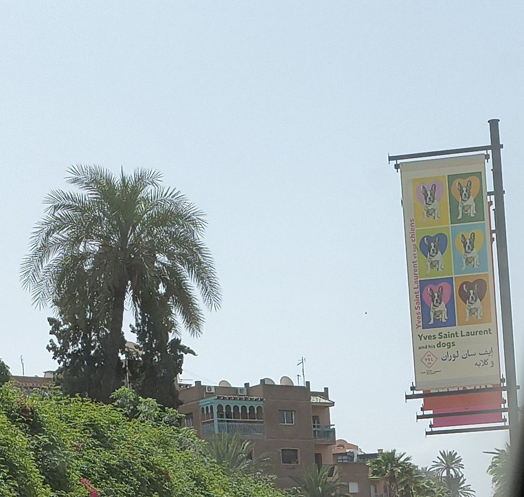 Foto 6 – 20.04.2026 – 0 km – Marrakesch