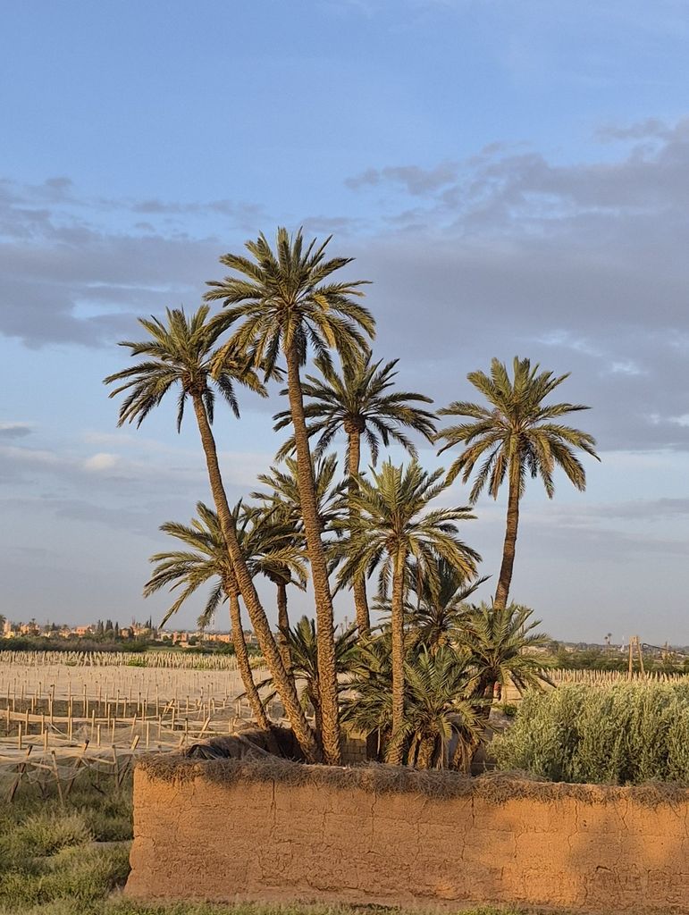 Foto 4 – 21.04.2026 – 304 km – Marrakesch - Casablanca - Skhirat