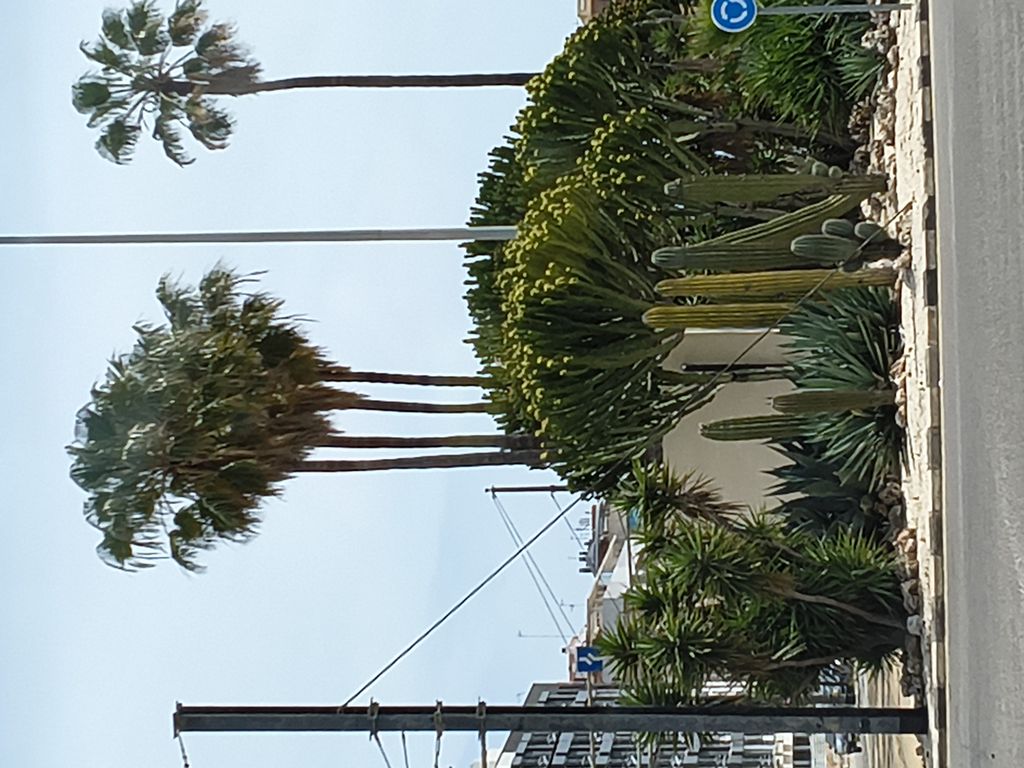 Foto 17 – 25.04.2026 – 356 km – Alhama de Murcia - Valencia - Alcossebre