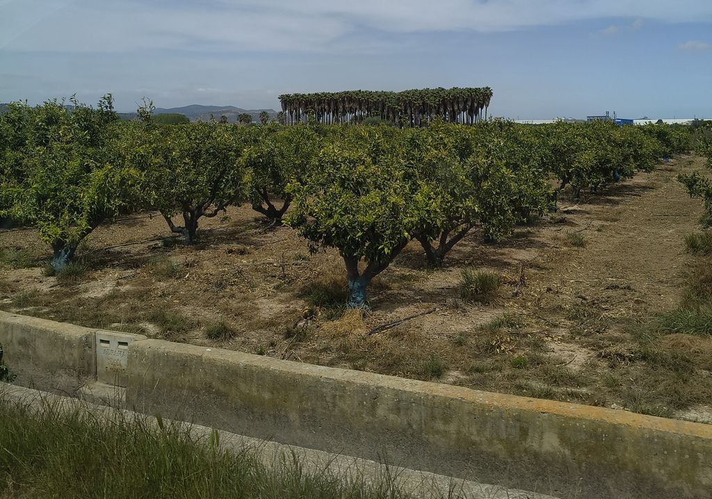 Foto 20 – 25.04.2026 – 356 km – Alhama de Murcia - Valencia - Alcossebre