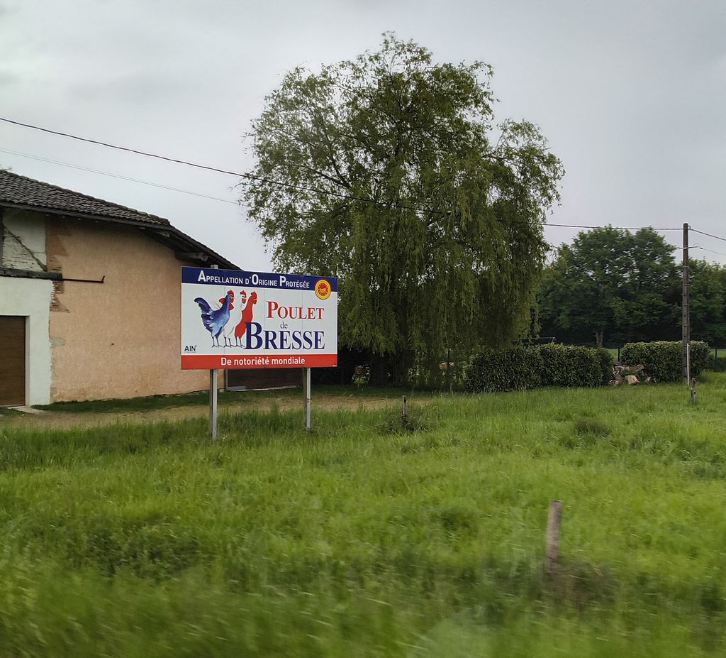 Foto 2 – 28.04.2026 – 456 km –  Genas - Saint-Croix-aux-Mines