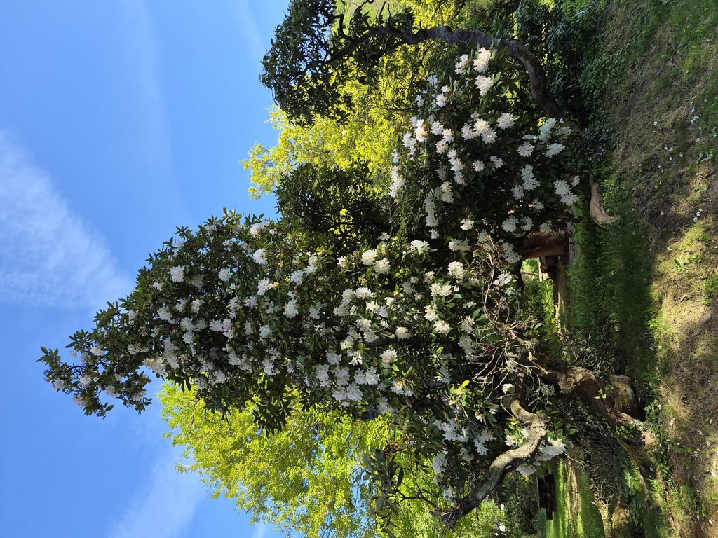 Foto 9 – 29.04.2026 – 257 km –  Saint-Croix-aux-Mines - Brensbach
