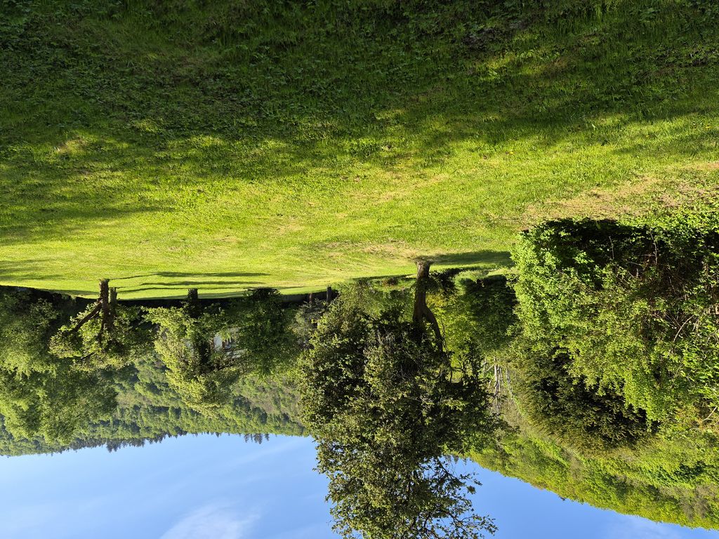 Foto 11 – 29.04.2026 – 257 km –  Saint-Croix-aux-Mines - Brensbach