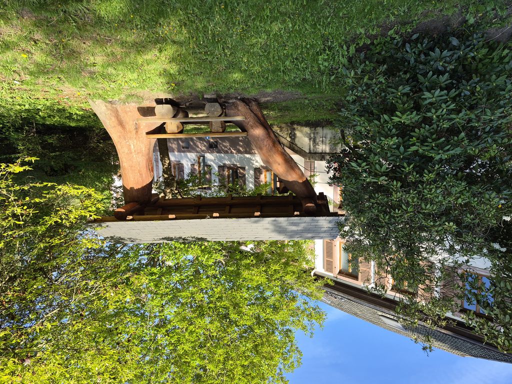 Foto 12 – 29.04.2026 – 257 km –  Saint-Croix-aux-Mines - Brensbach