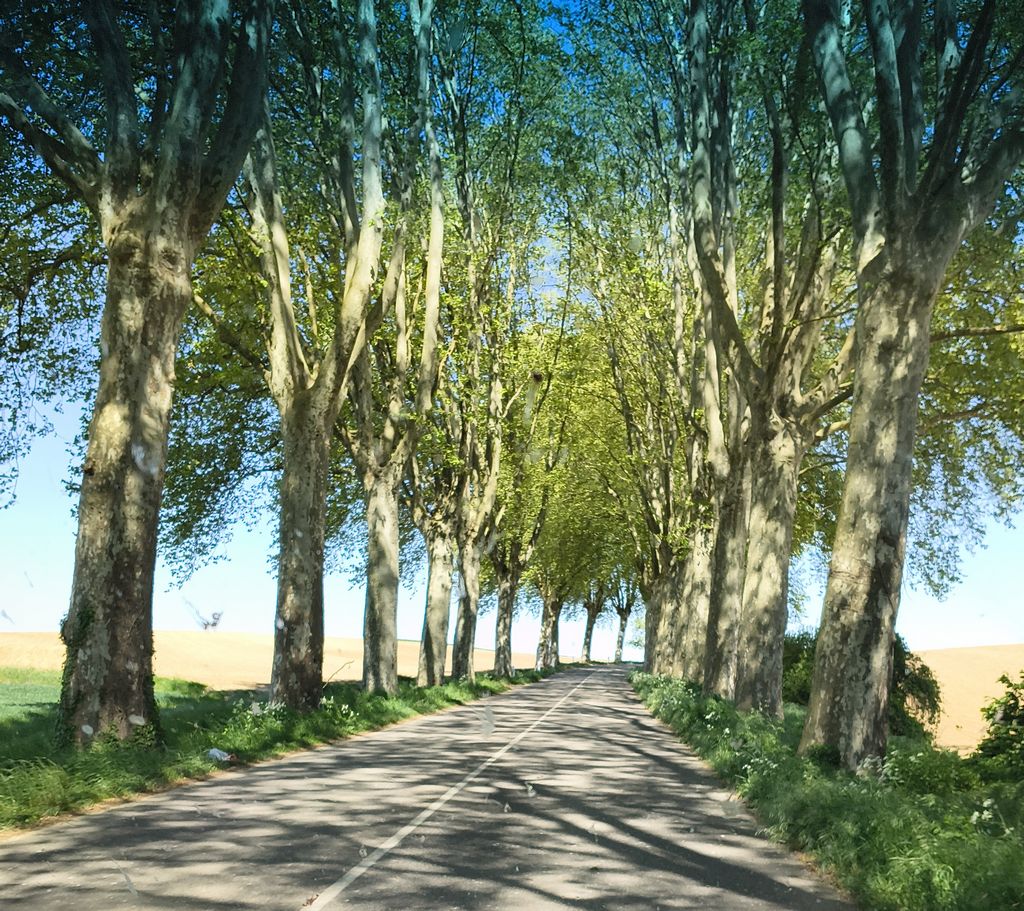 Foto 19 – 29.04.2026 – 257 km –  Saint-Croix-aux-Mines - Brensbach