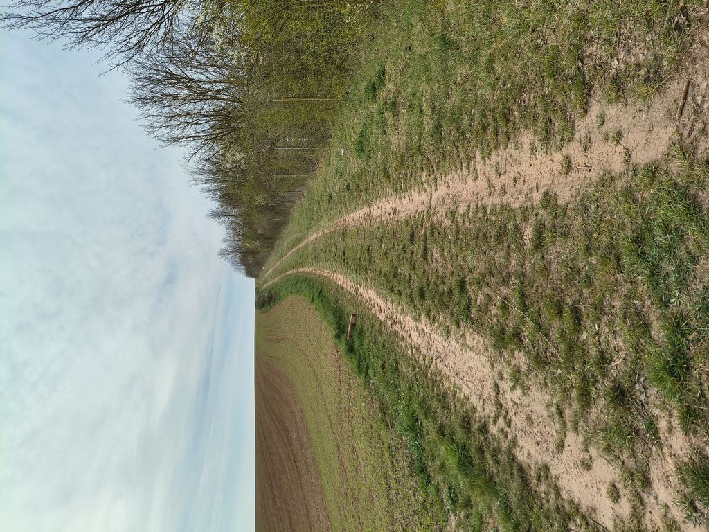 Foto 1 – 24.03.2026 – 298 km – Brensbach - Nancy